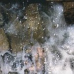 Zamzam