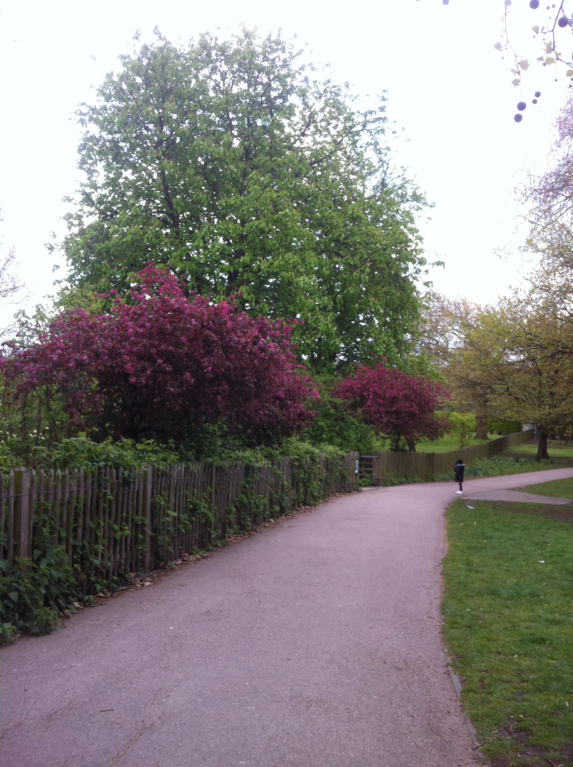 photo-17.jpg