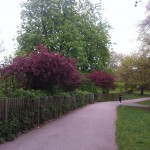 photo (17)