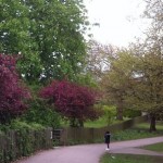 photo (17)
