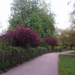 photo (17)