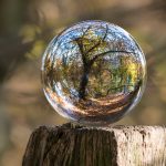Small ball-ball-shaped-blur-color-235615 2